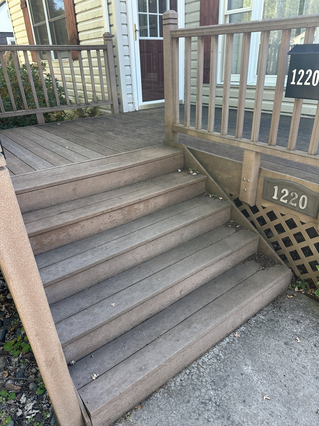 Before: Deck cleaning