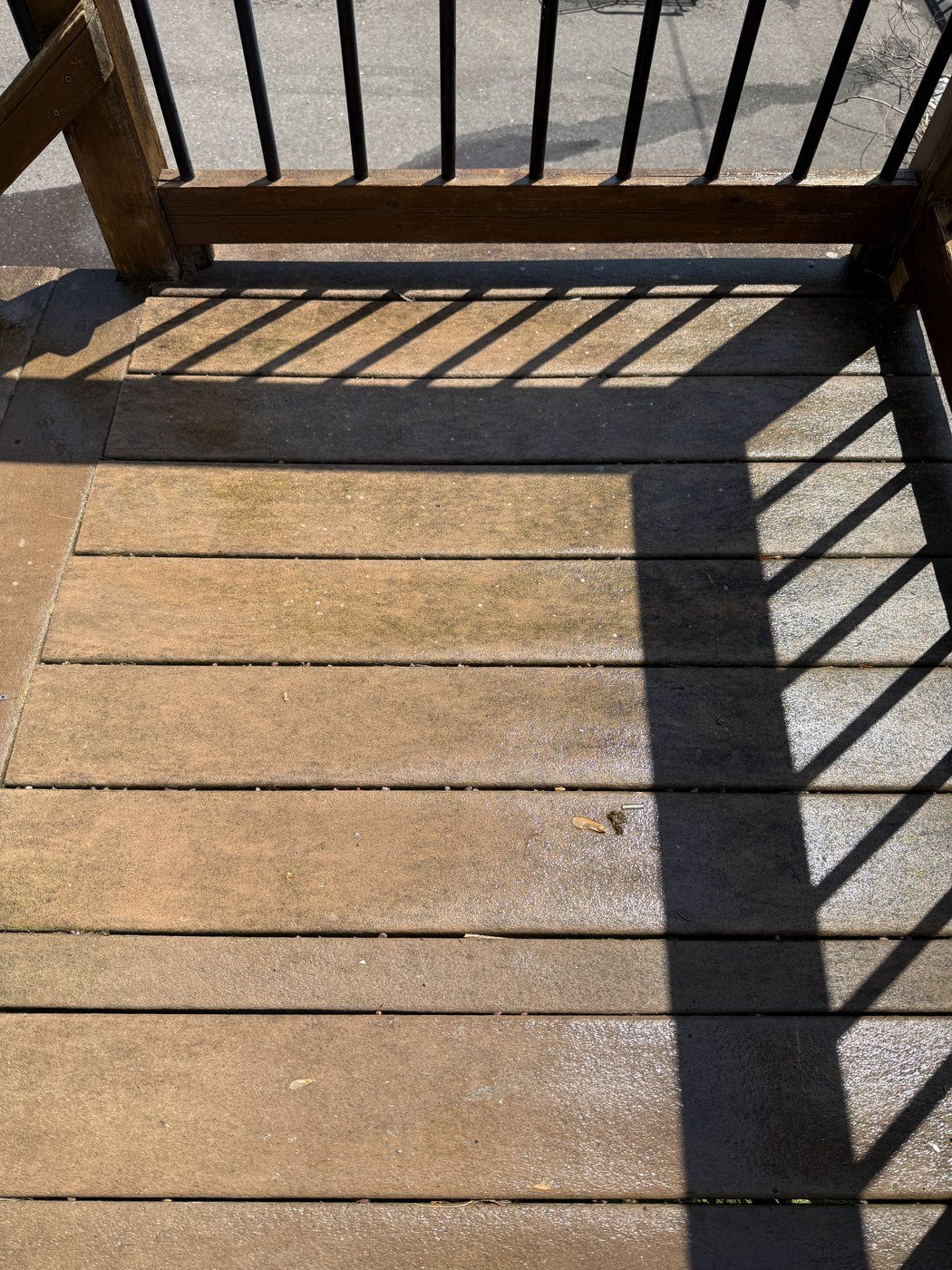 Before: Deck cleaning