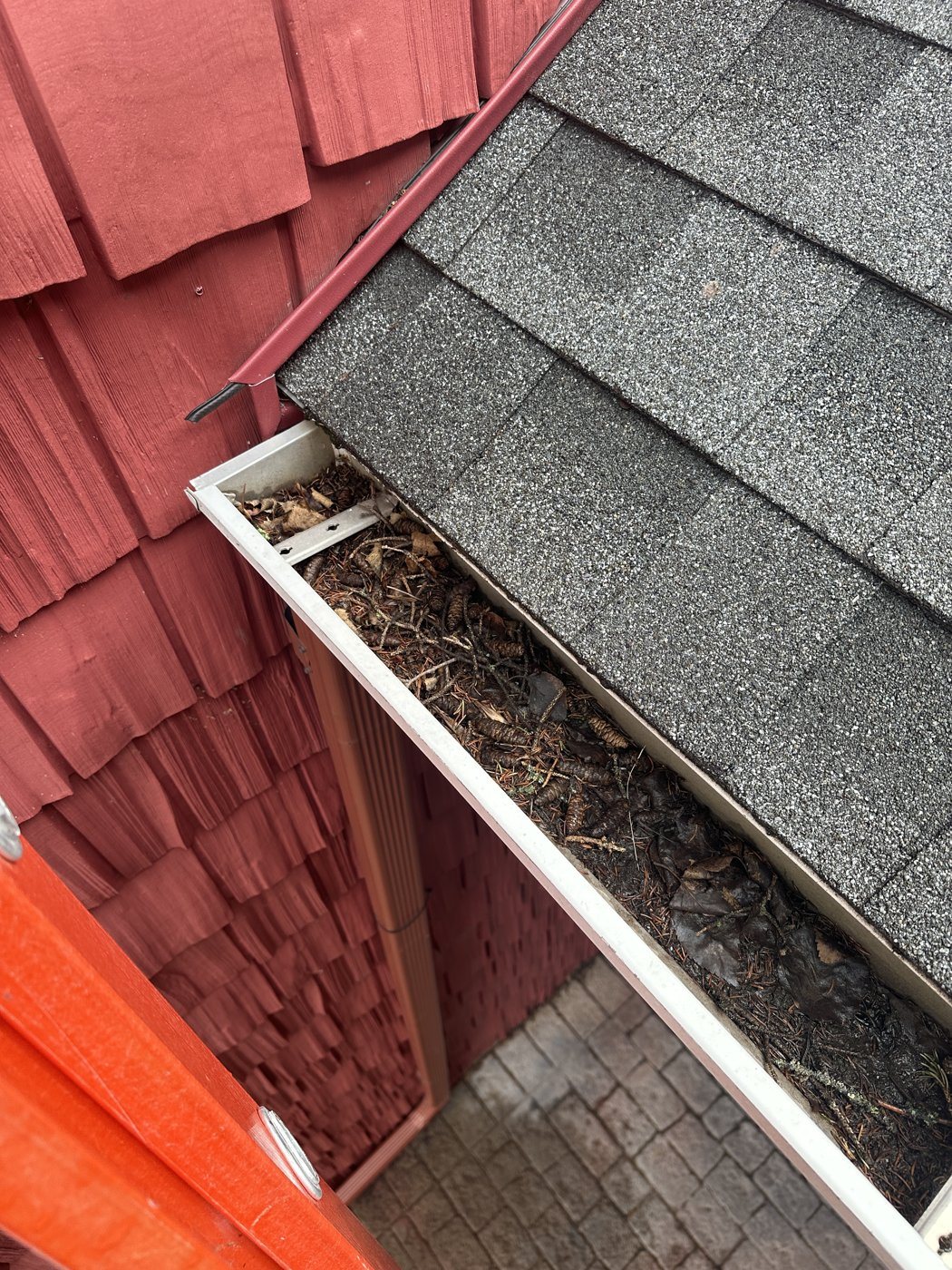 Gutter Cleaning before
