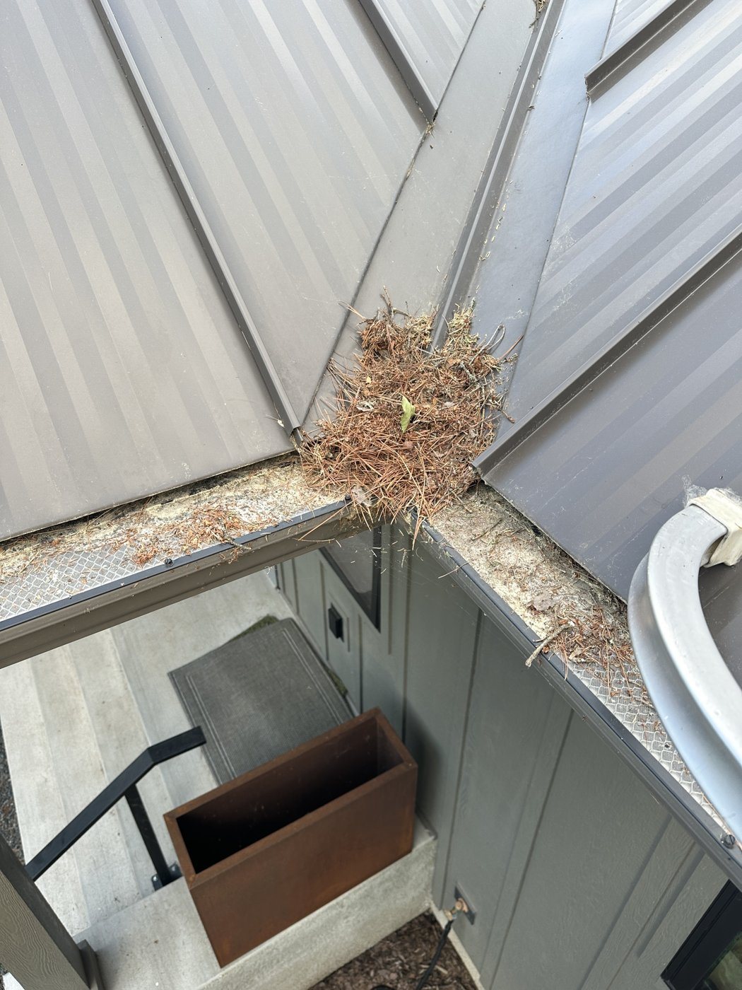 Before: Gutter cleaning