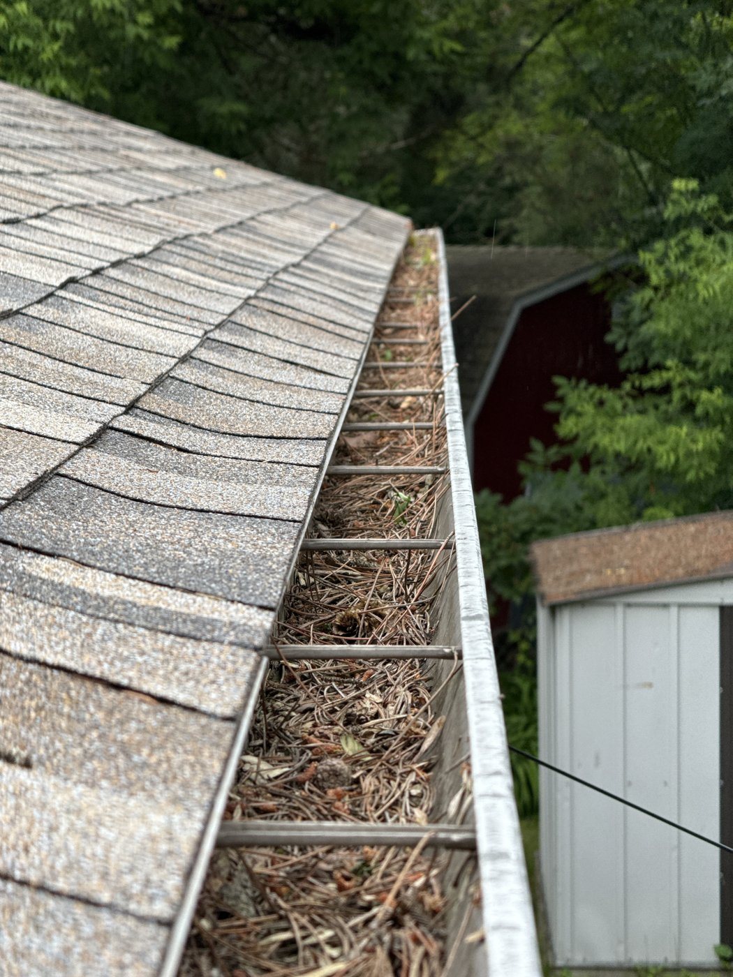 Before: Gutter cleaning