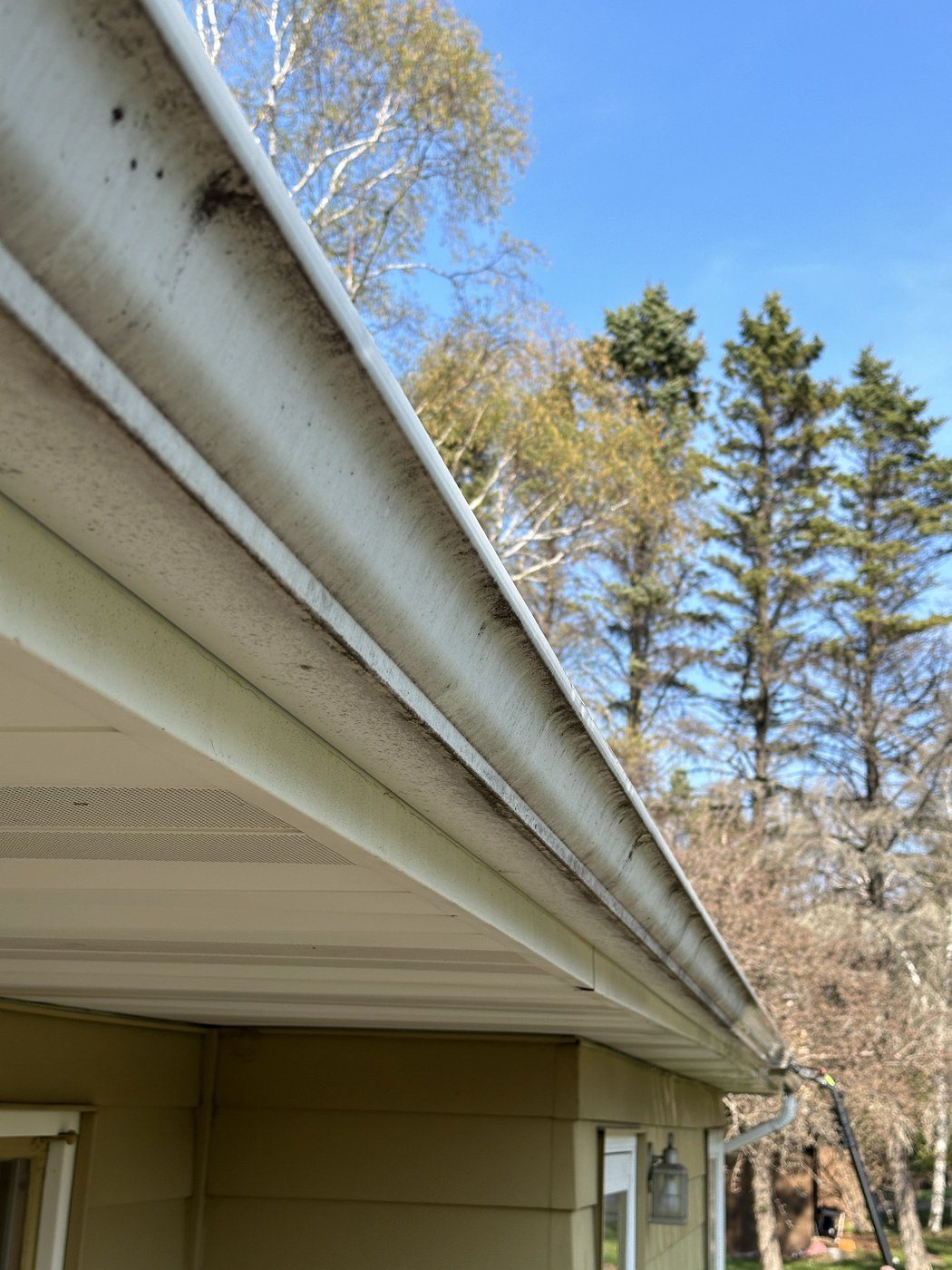 Before: Gutter cleaning