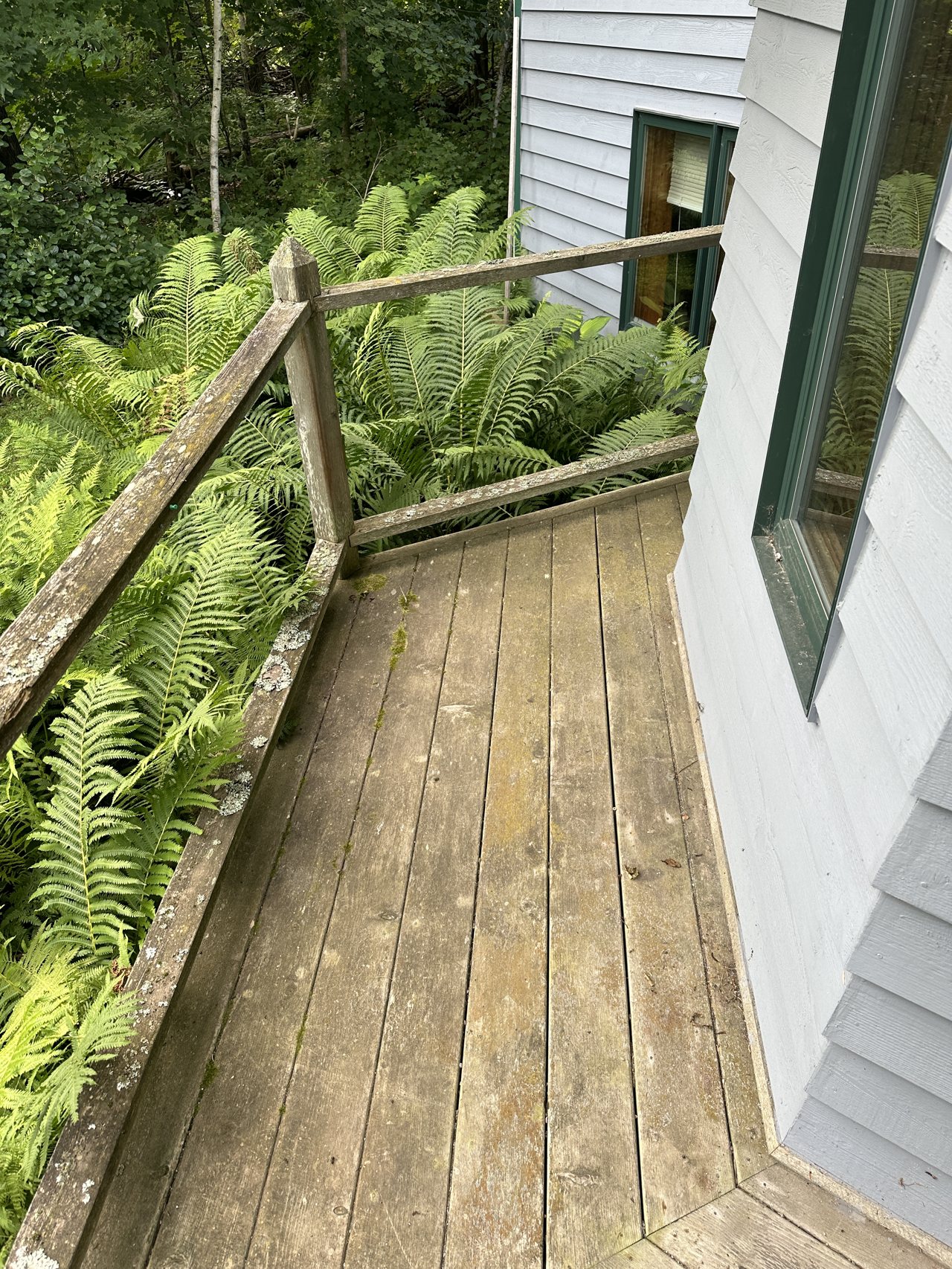 Deck Cleaning before