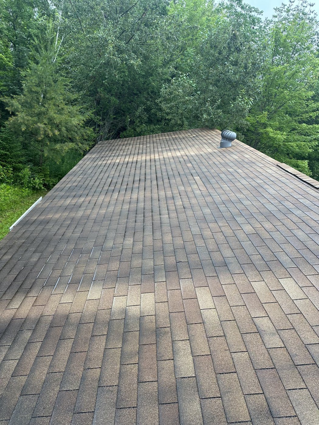 Before: Roof wash