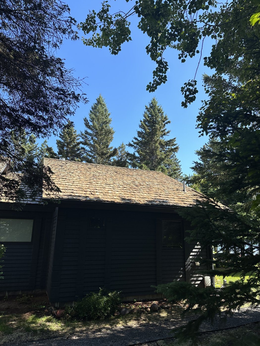 After: Roof wash