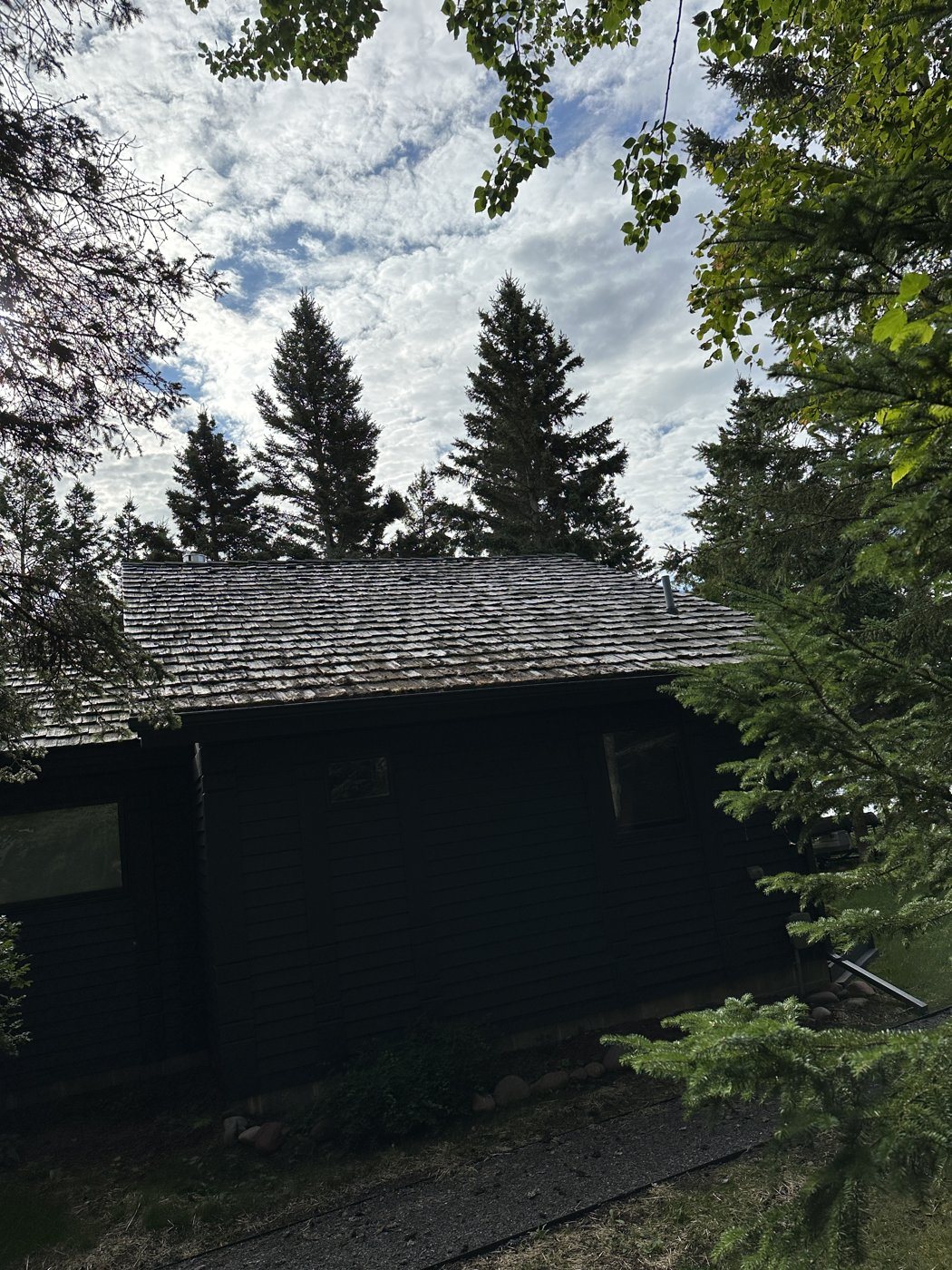 Before: Roof wash