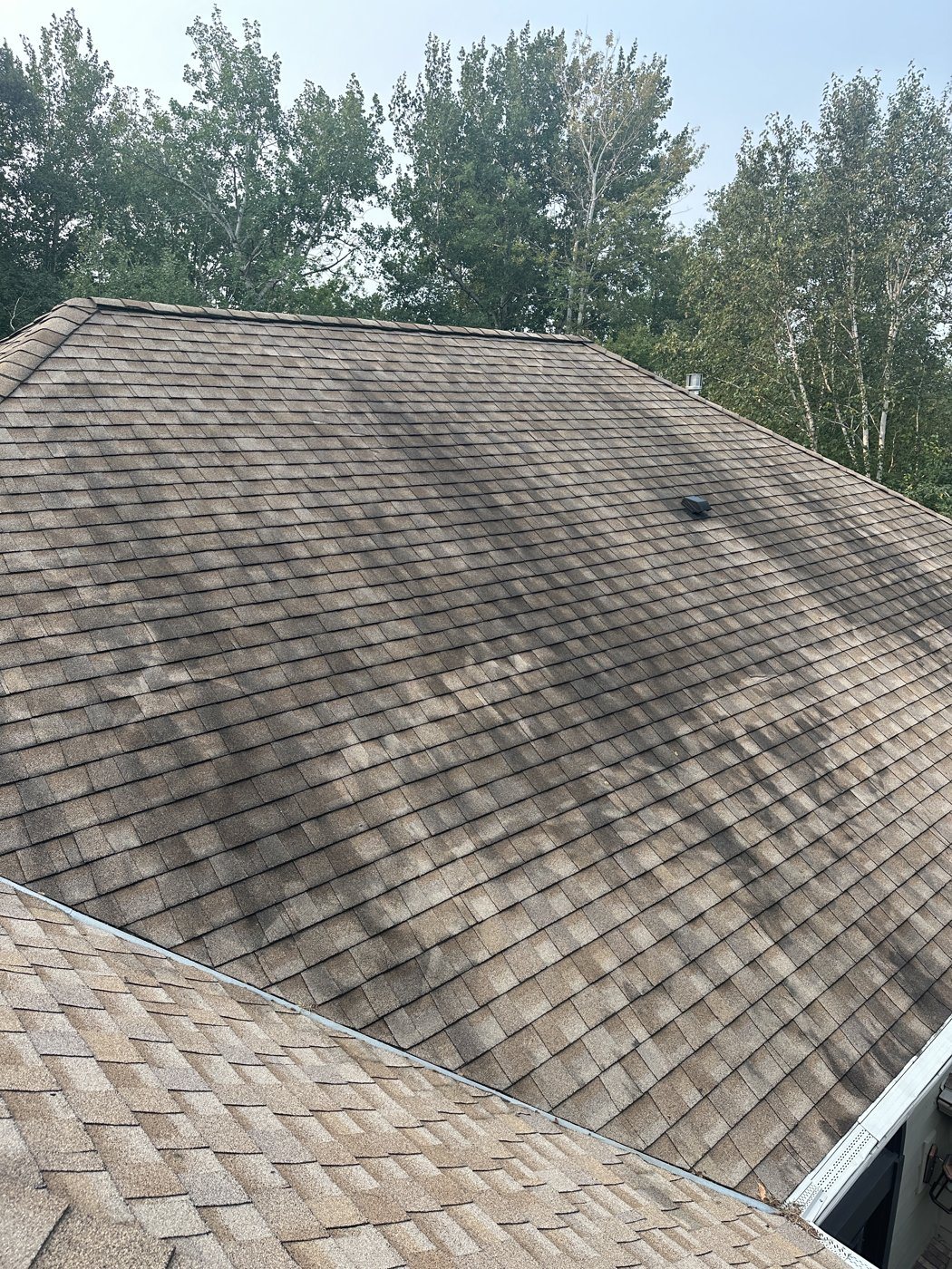 Before: Roof wash