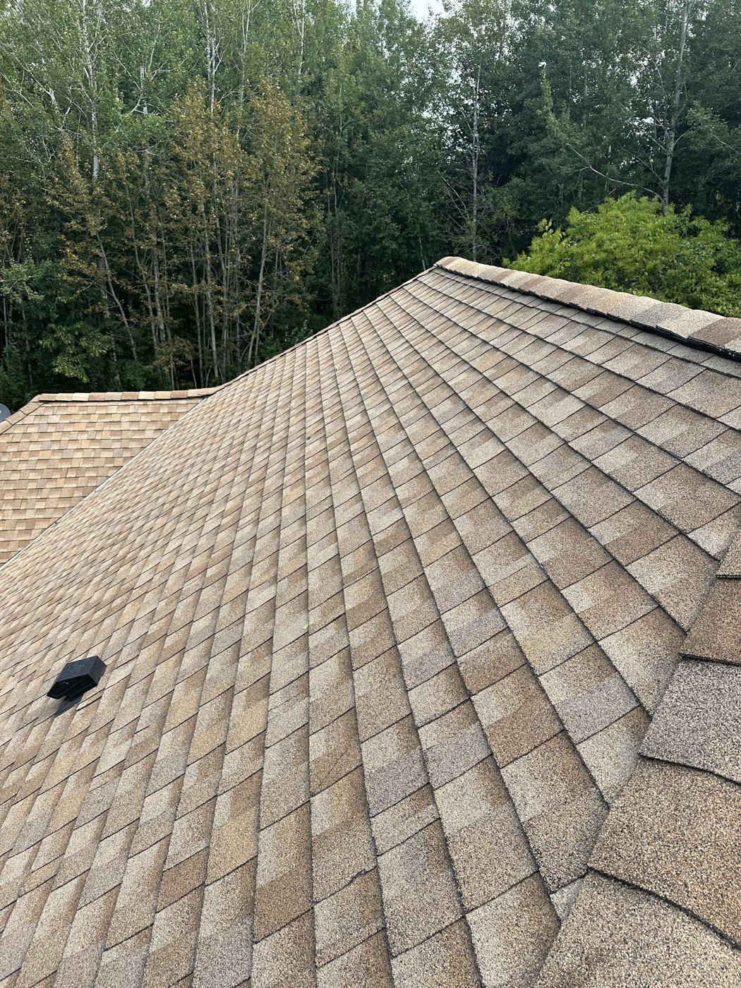 After: Roof wash