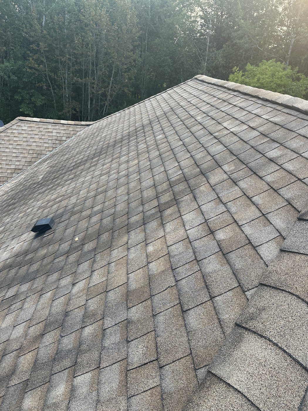 Before: Roof wash