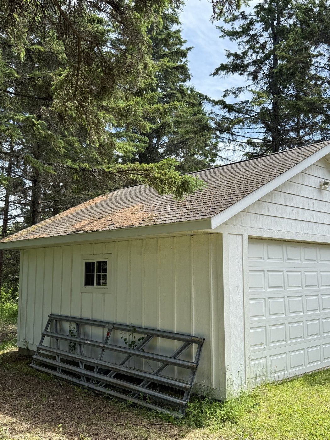 Before: Roof wash