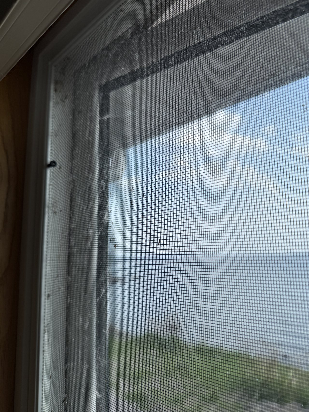 Window screen mesh before a Clear Vue screen cleaning
