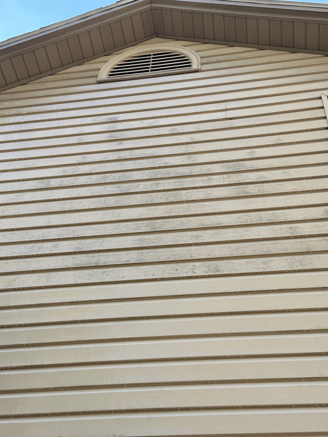 Before: House soft wash