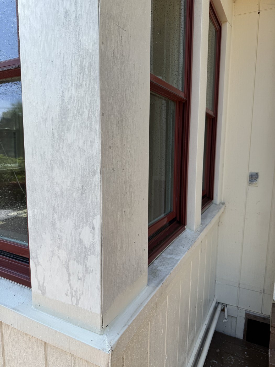 Before: House soft wash