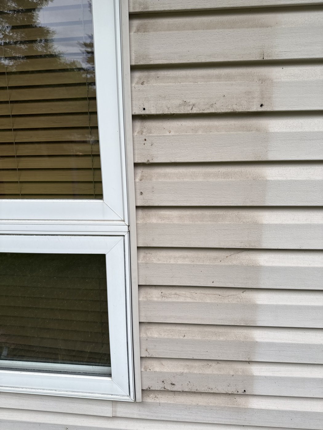 Before: House soft wash