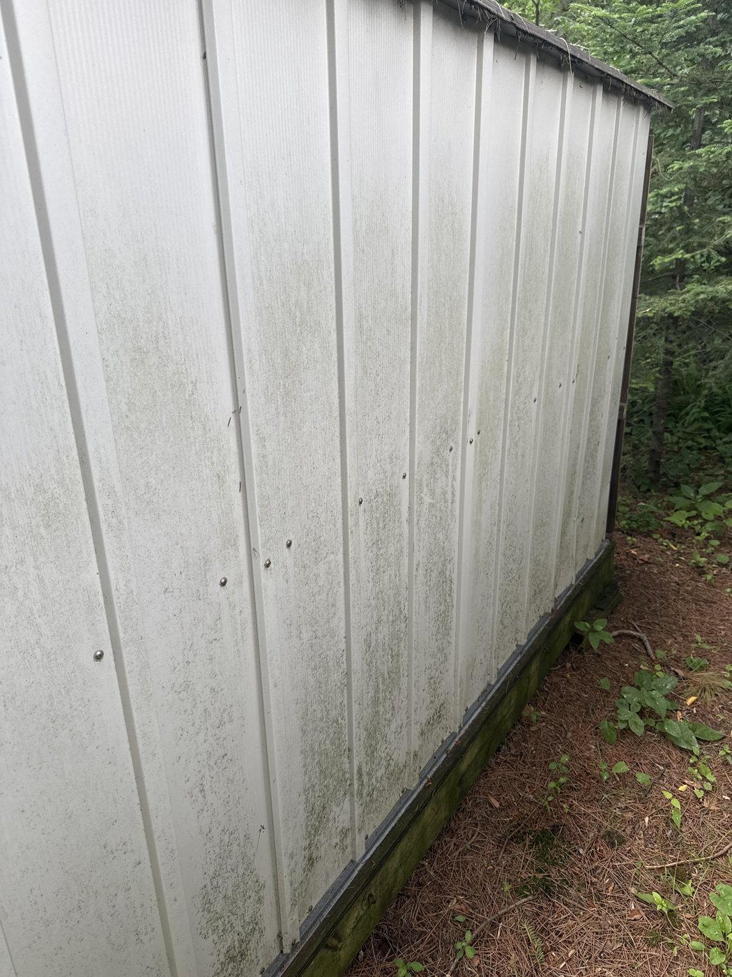 Before: House soft wash