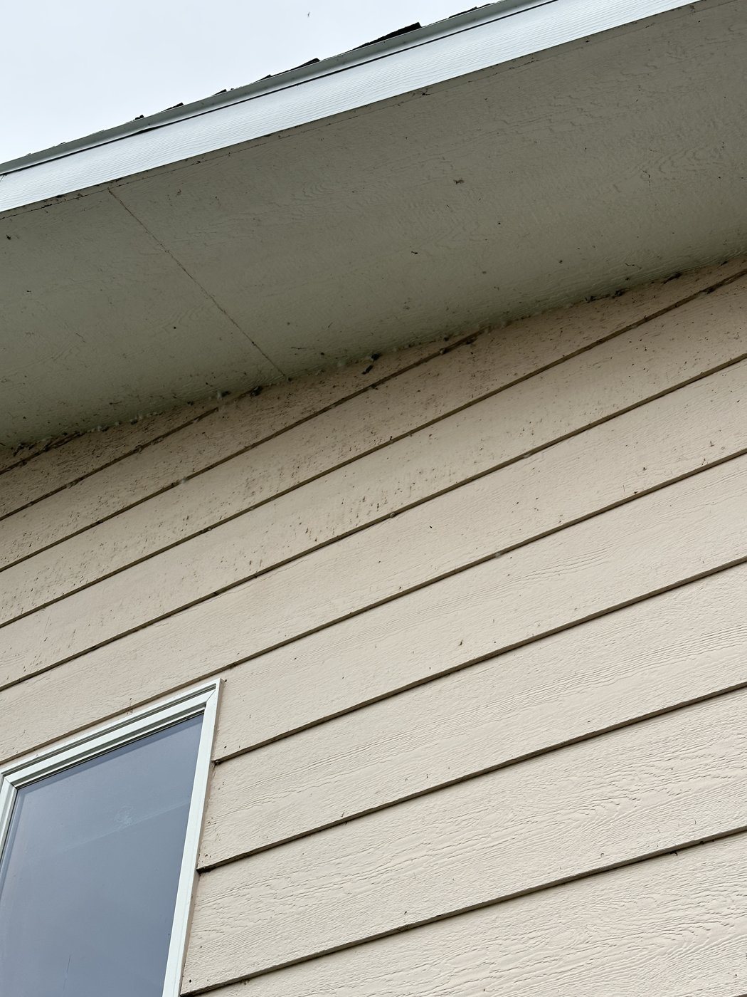 Before: House soft wash