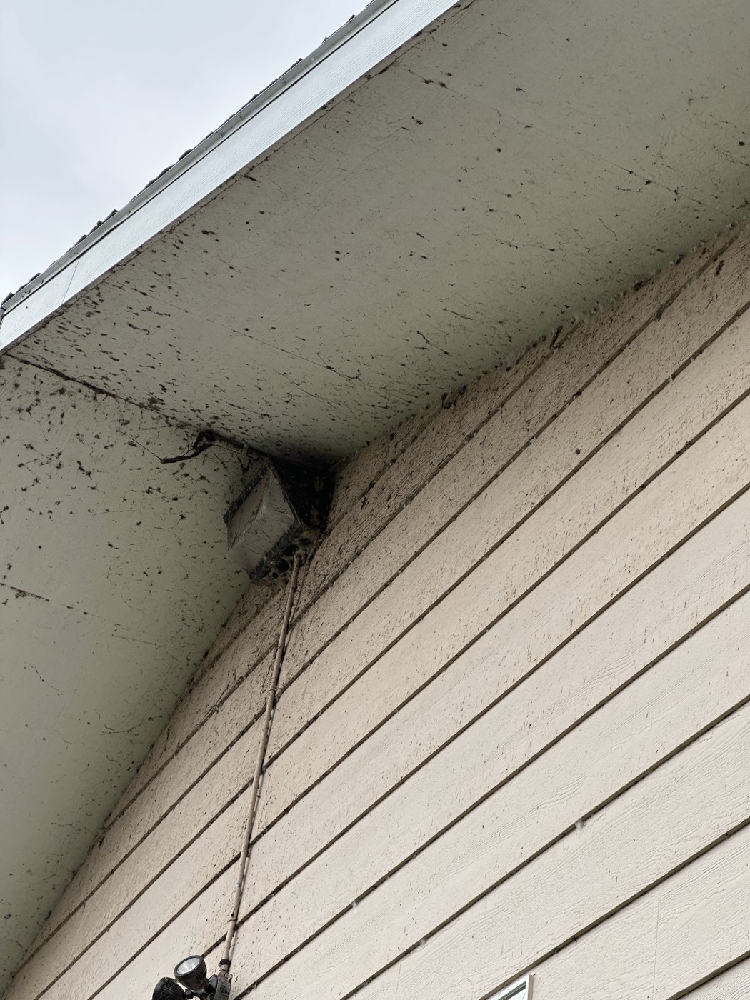 Before: House soft wash