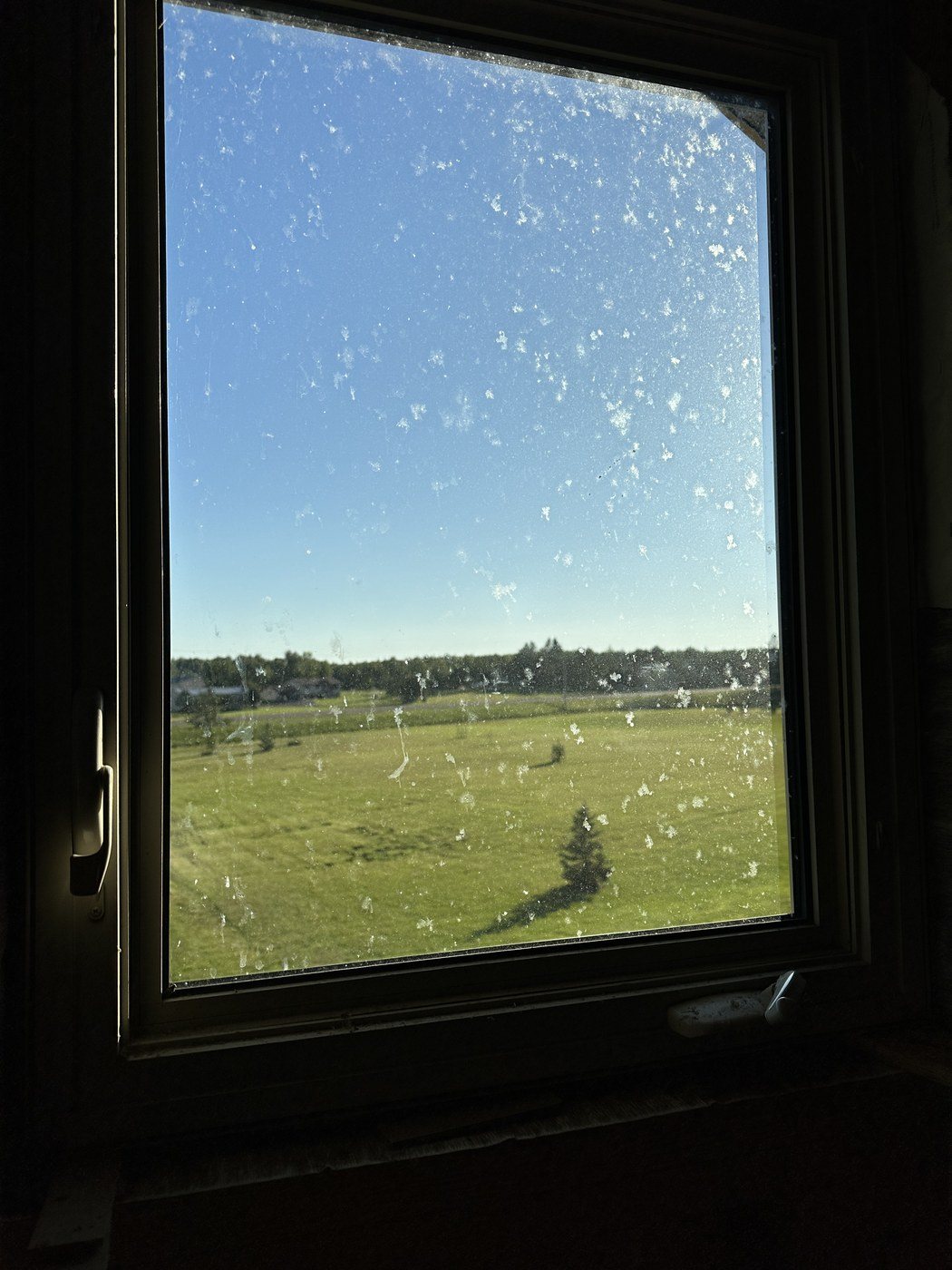Before: Window cleaning